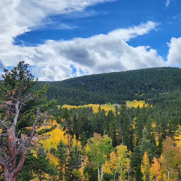 Meet your Posher, Tracey - Picture 1 of 1